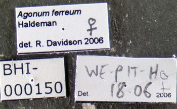 Media type: image;   Entomology 626657 Aspect: labels
